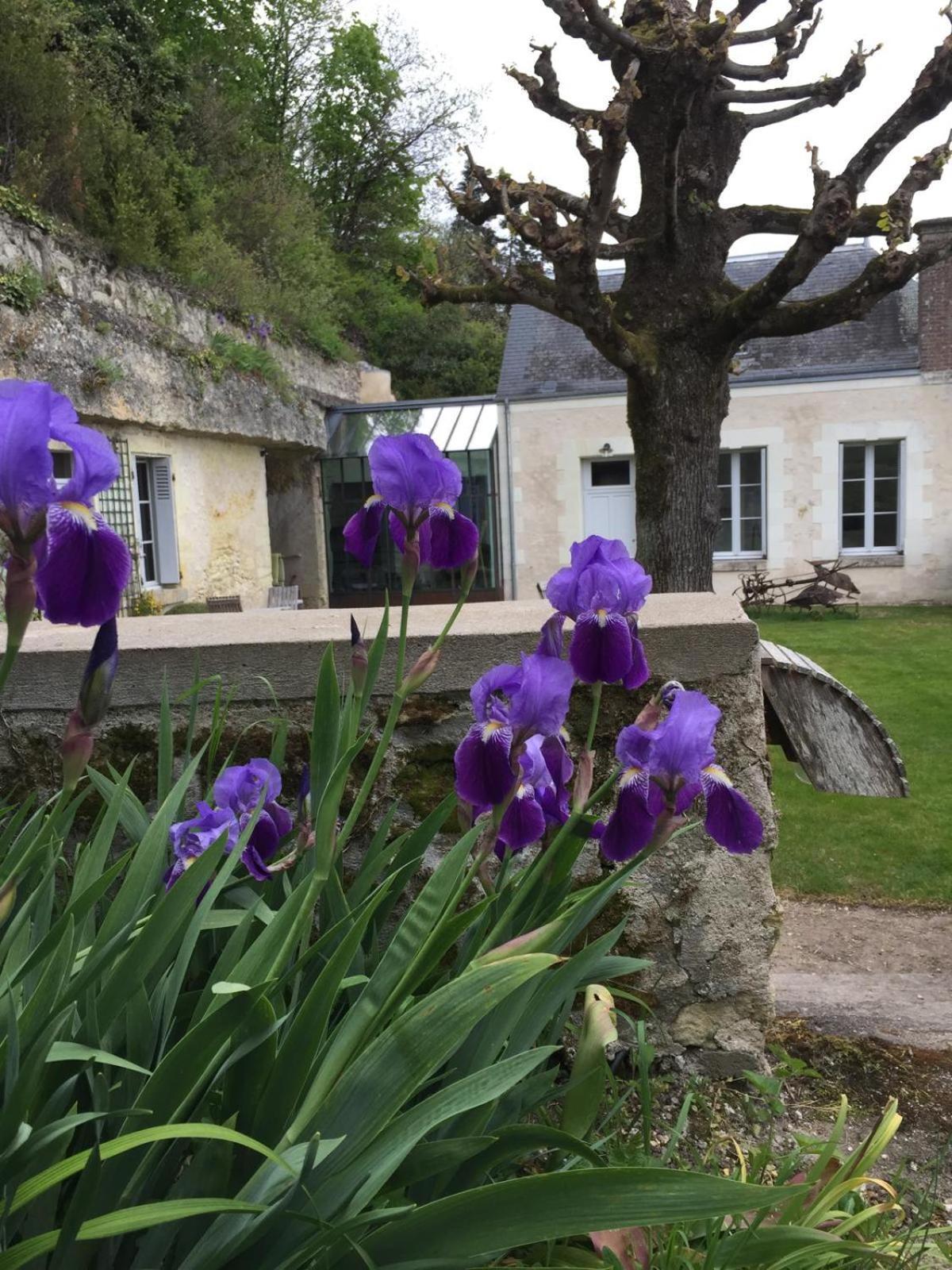 Chateau De Nazelles Amboise Exterior foto